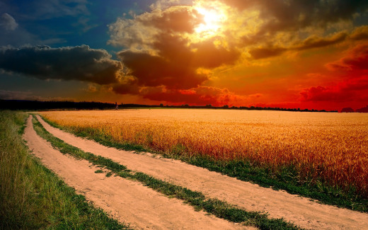667051 (a): :2560x1600